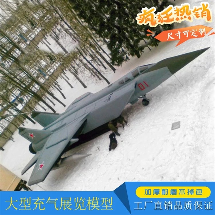 昌邑充气飞机气模厂家